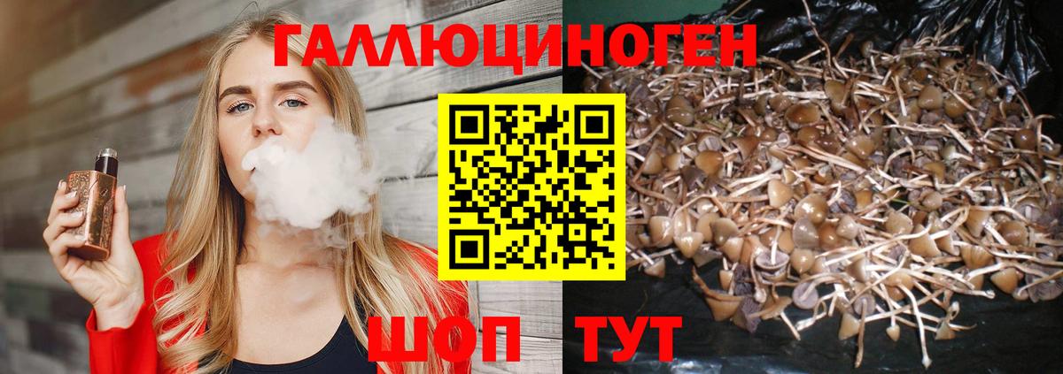 Канаш  Псилоцибиновые грибы Psilocybe  Вход с VPN 